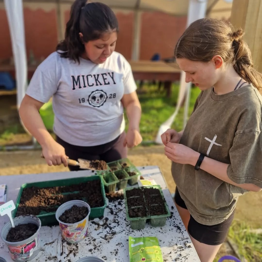 Herbs, Tomatoes, Peas, Beans and Potatoes