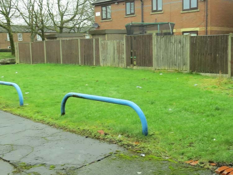 click to see larger image clearing the site