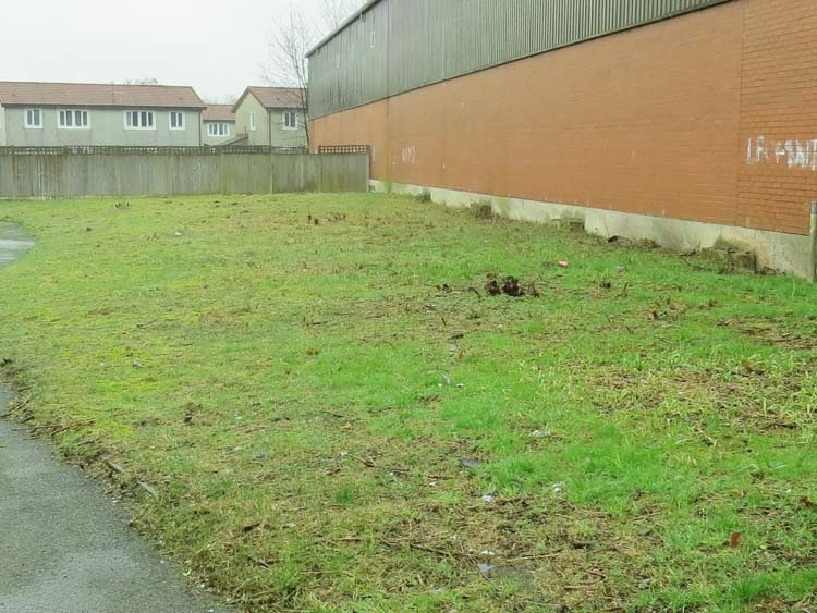 click to see larger image clearing the site