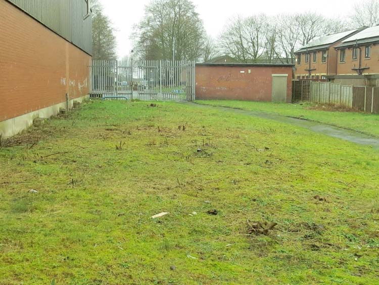 click to see larger image clearing the site